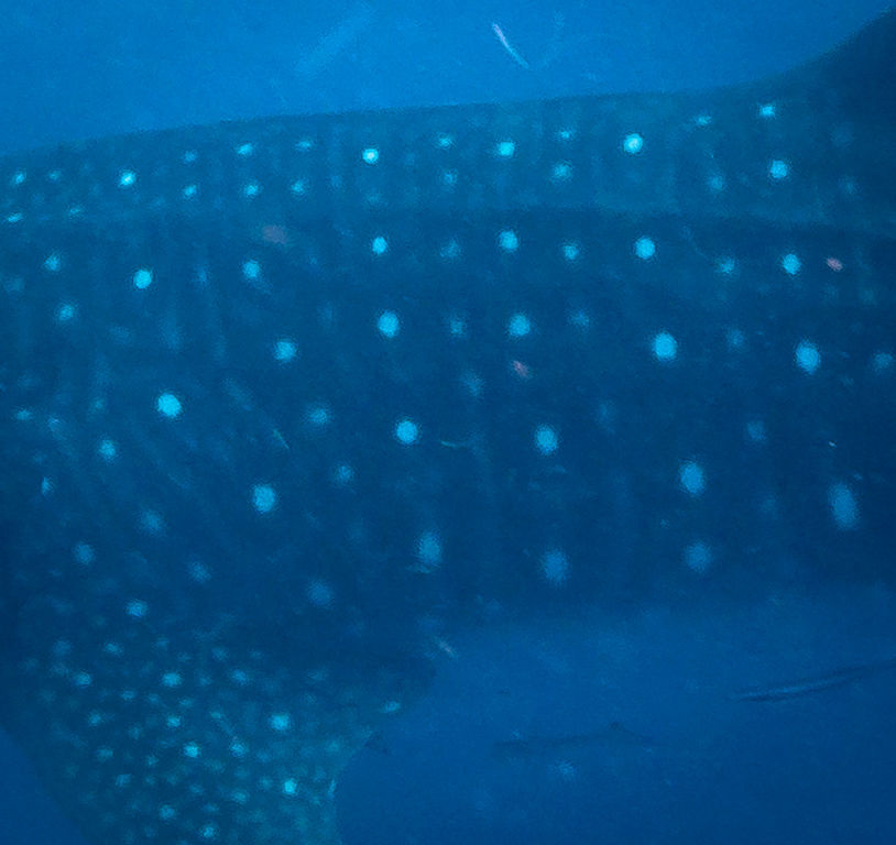 512222a7-26af-4539-aaf7-0e0dfe3cc001