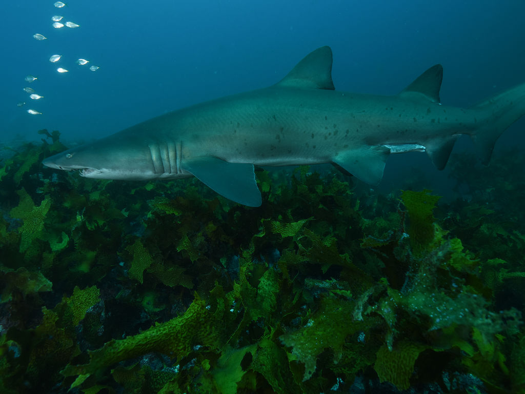 c44052e2-9d58-46cc-a51b-ee2a7bcb90f4