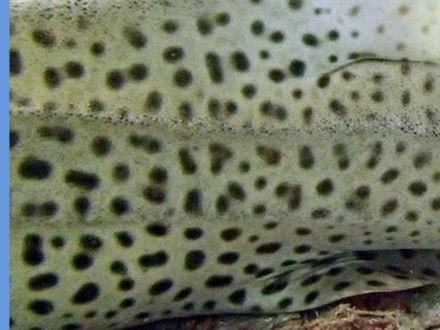 0e986ae3-2ee3-4636-93a6-4aa15d0eac54