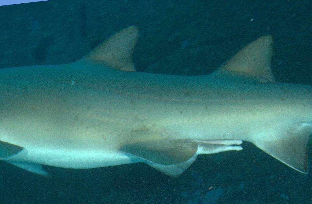 f96b606d-d922-419d-af59-705421db9ddc