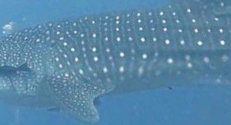 129afc41-7c0e-45af-822f-1ec53bb57473