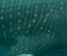 21f99702-ec86-4147-b711-7e906f5e6482