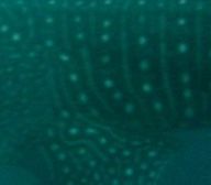 21f99702-ec86-4147-b711-7e906f5e6482