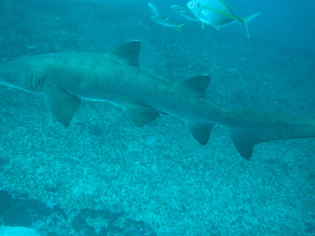 8dc07547-3ae5-4f1d-8a22-7baef5b7e07a