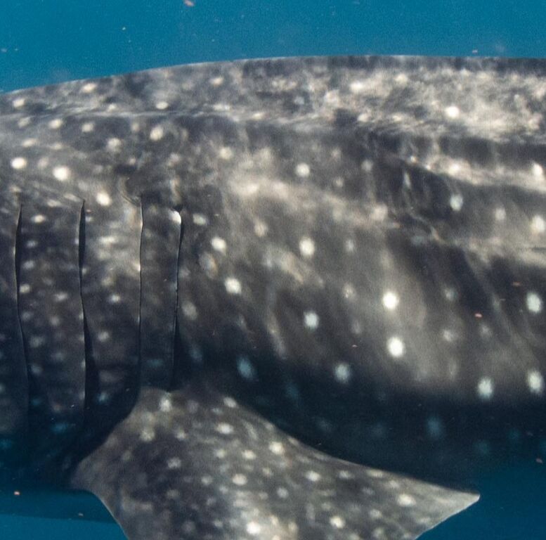 cf7197a0-e5fa-4329-a5c6-c7960297f5a5