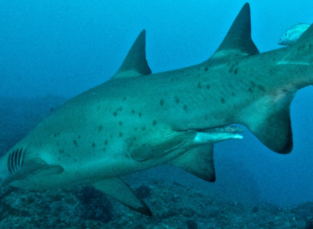 bd1d6c28-c837-4455-be14-59fb030cd35b