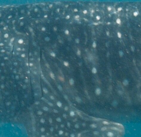 3d7d4f58-71a0-462c-8ba6-f9b61cb553fb