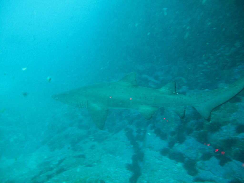 1871dc3e-c5b4-4280-8366-21d56ebd8cc3