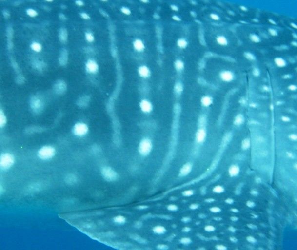 a52dd046-c8f6-4952-98a7-2a924e46f774