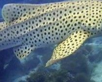 5fcd9f42-6df6-4a4f-81e7-0bcf581ba5aa