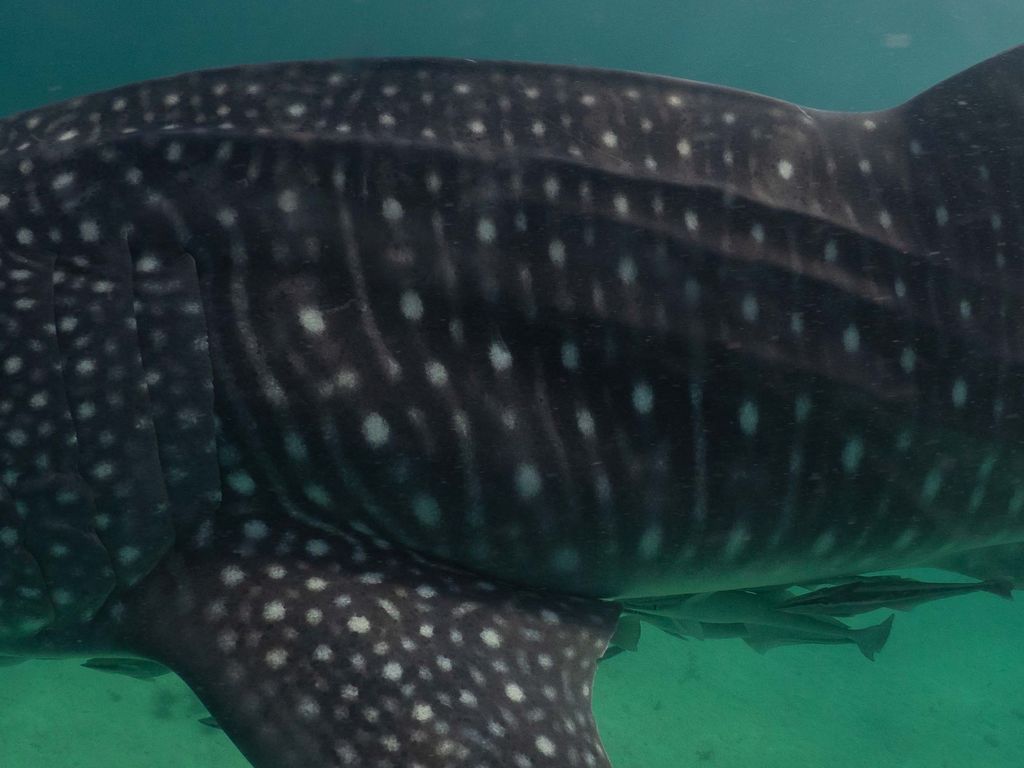 722cd888-8464-46d8-b383-8dbc69444175