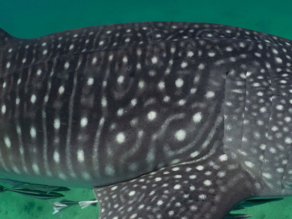 722cd888-8464-46d8-b383-8dbc69444175