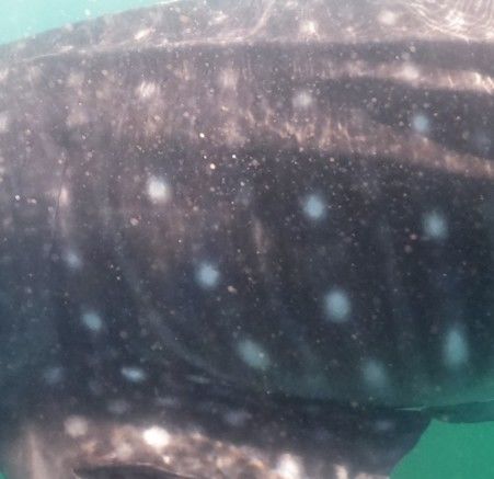 c93105be-a323-4915-adb0-788f67a43502