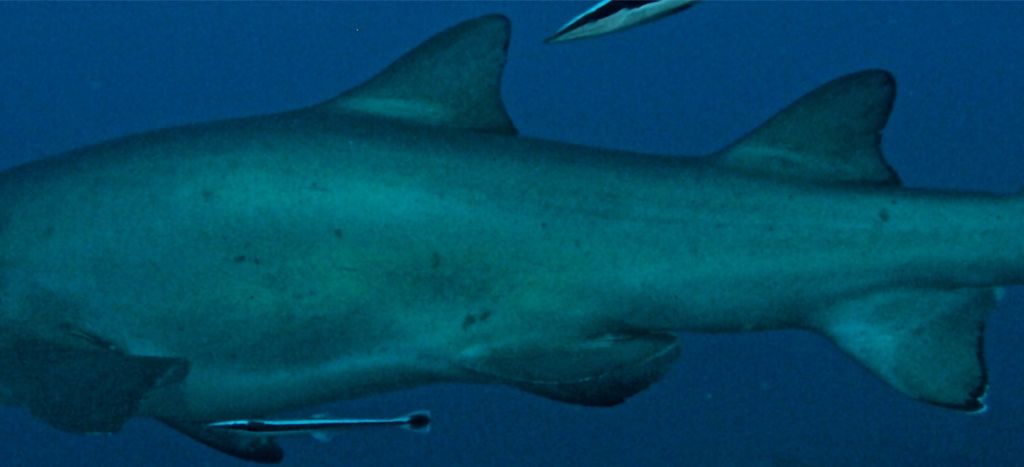 3fc90b86-d172-4686-8334-3e2af54b5953