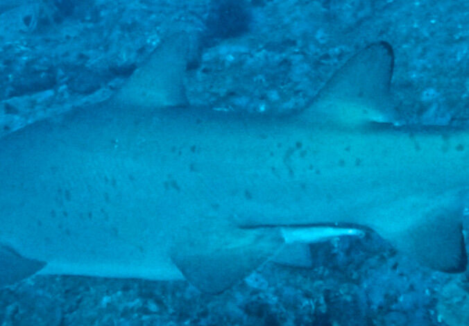 dd17fe47-9399-417d-a9ac-cfbe1857b881