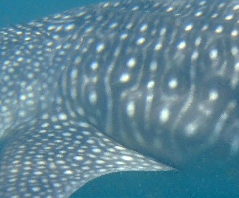 4087ad35-ec44-4729-87c5-faecb4e046d9