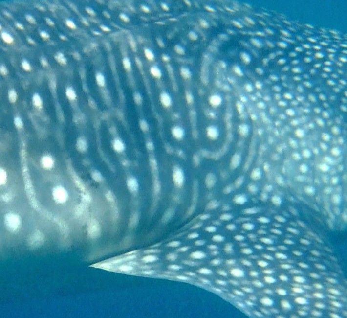 4087ad35-ec44-4729-87c5-faecb4e046d9