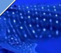 40dcb1bd-4a94-4eec-b4b7-bf2e31813e34