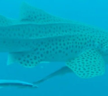 462d8520-e5f7-4ca5-aeee-f55d40f935ca