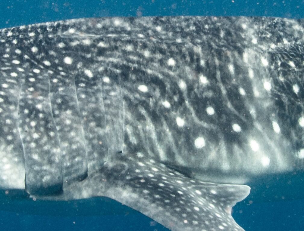 a6de4866-2477-4ead-918d-9e1802070ec7