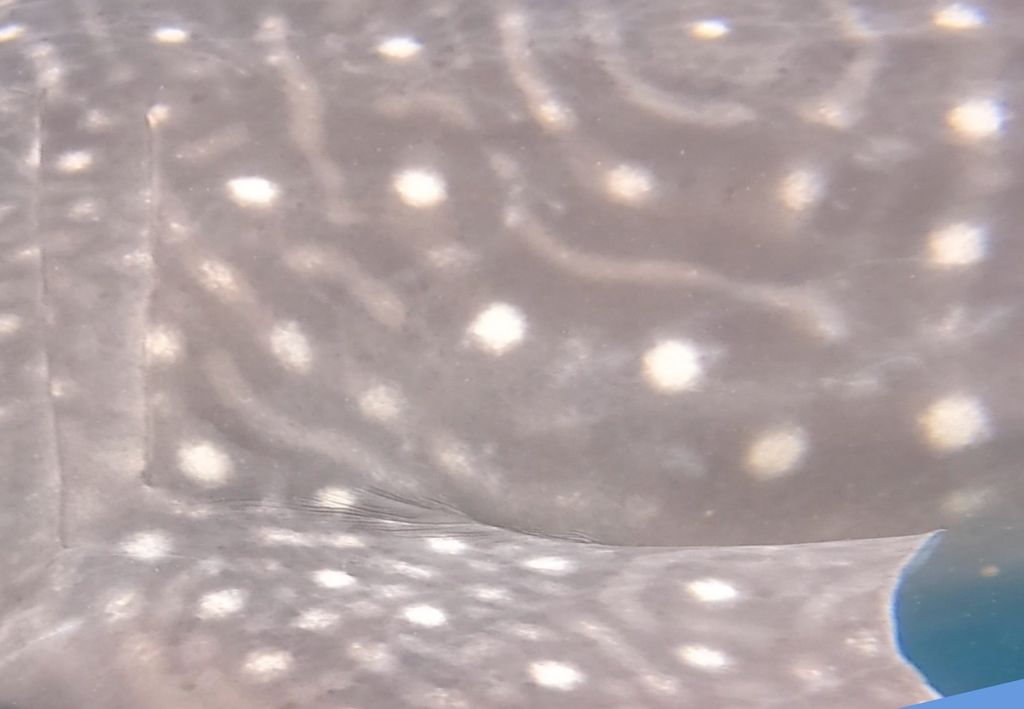 b7d03136-a86b-4b31-941a-c631104717e6