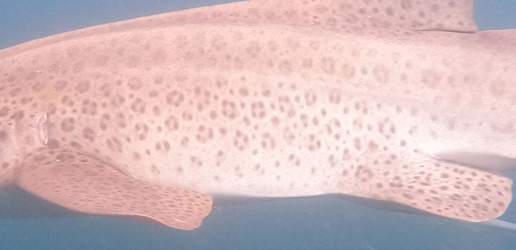 91d8c63d-643f-4e25-93c9-c8615568076d