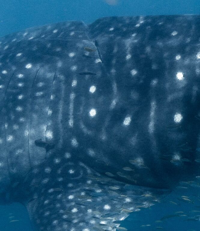 6b2542ae-622c-41bc-90d9-3796457e2f79