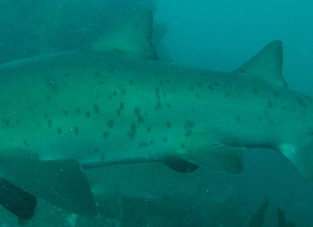 835b77aa-9e1e-4e36-af9a-60887300d937