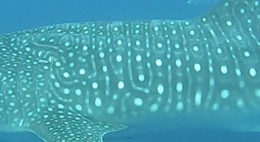 e8f6229b-65ae-4657-a10b-0905bbbb5f1f