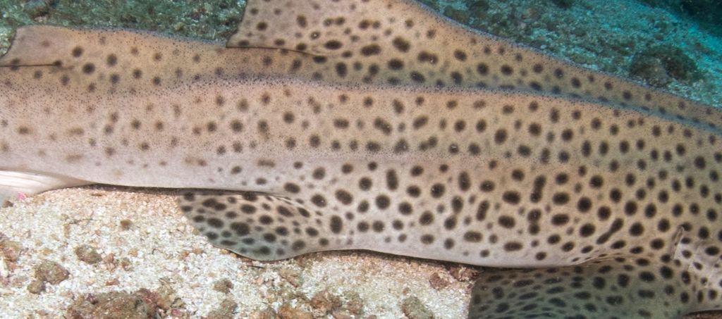 51718d88-6aff-442a-807b-3b7b98f4d81f