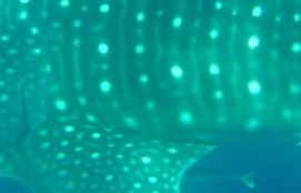 b7be6e71-7b3b-4198-8788-14ac3ee69c75