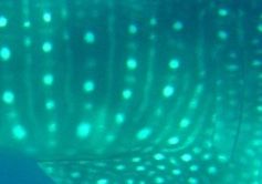 b7be6e71-7b3b-4198-8788-14ac3ee69c75