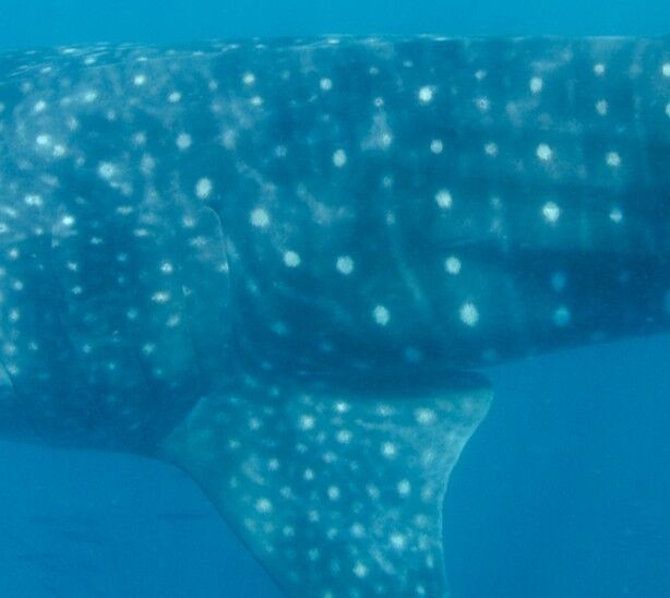 862ef5f0-44be-4dbe-b0c7-8213ca063cae