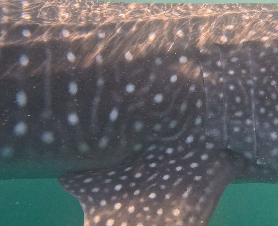 32813f60-7fb4-44f7-969e-23b7d80e072d