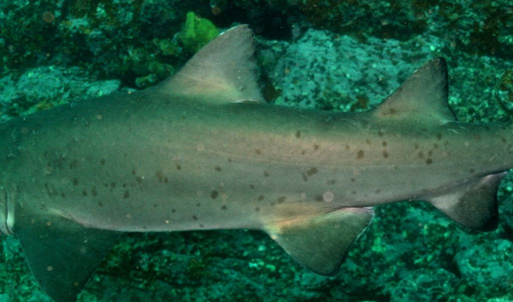 92b6248b-10a3-4f05-bd7a-10c9263f7126