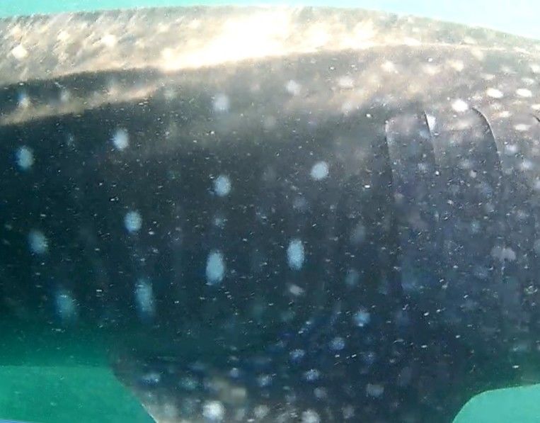 7d3769f0-a5a5-4faa-aa6d-d58df462f267