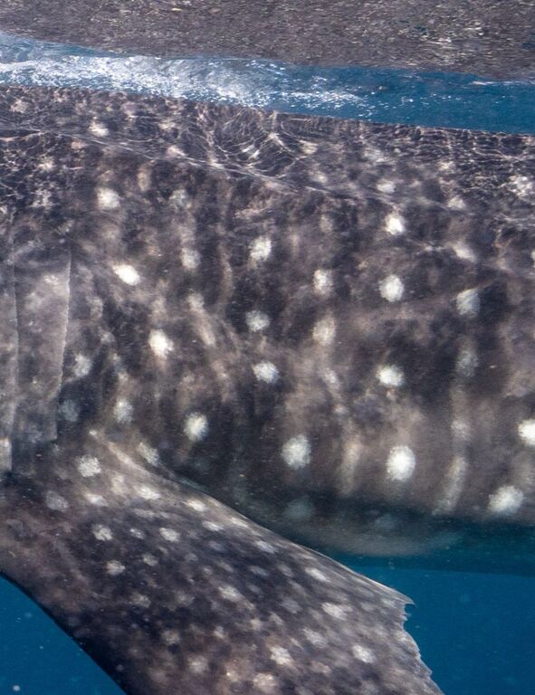 7ad01669-18ec-49dc-bda2-b96424576c6f