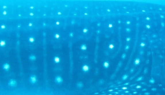 572c3066-6d56-4e32-a0a4-e8a37c9d875a