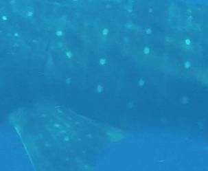 ab917e40-d76b-432d-8de7-1343b056a09d