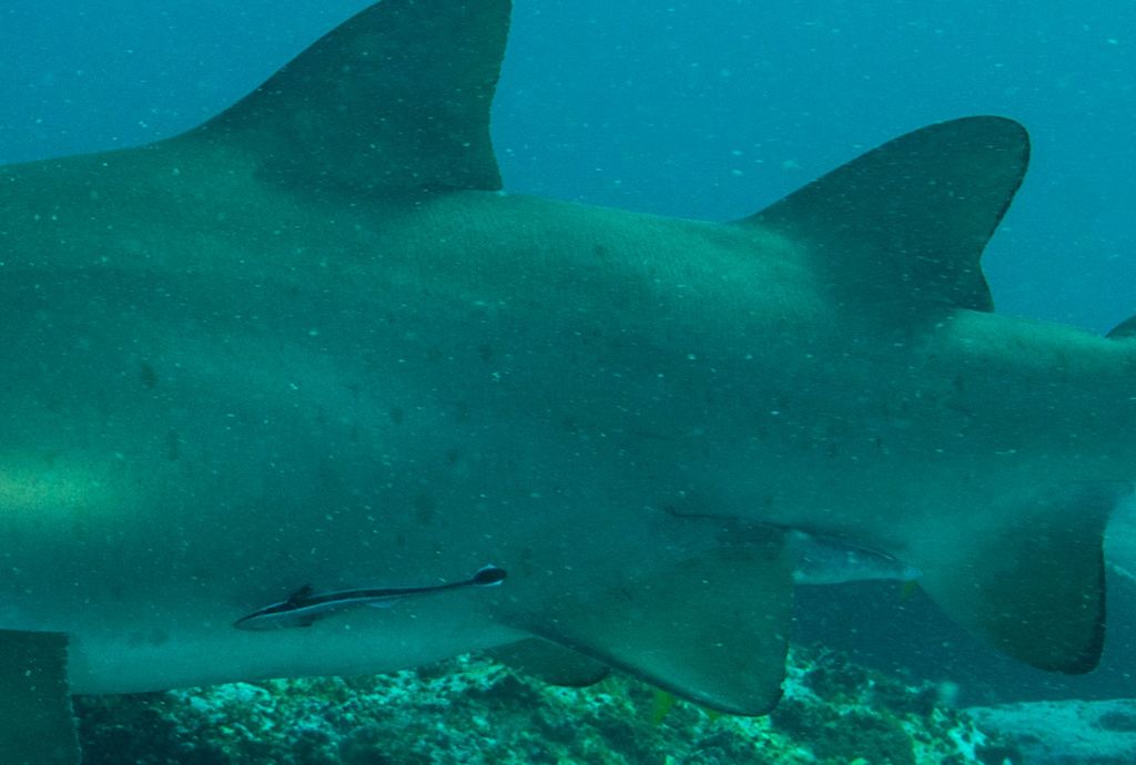 65914b2e-8a8f-4db7-9f67-62457a5d8a15