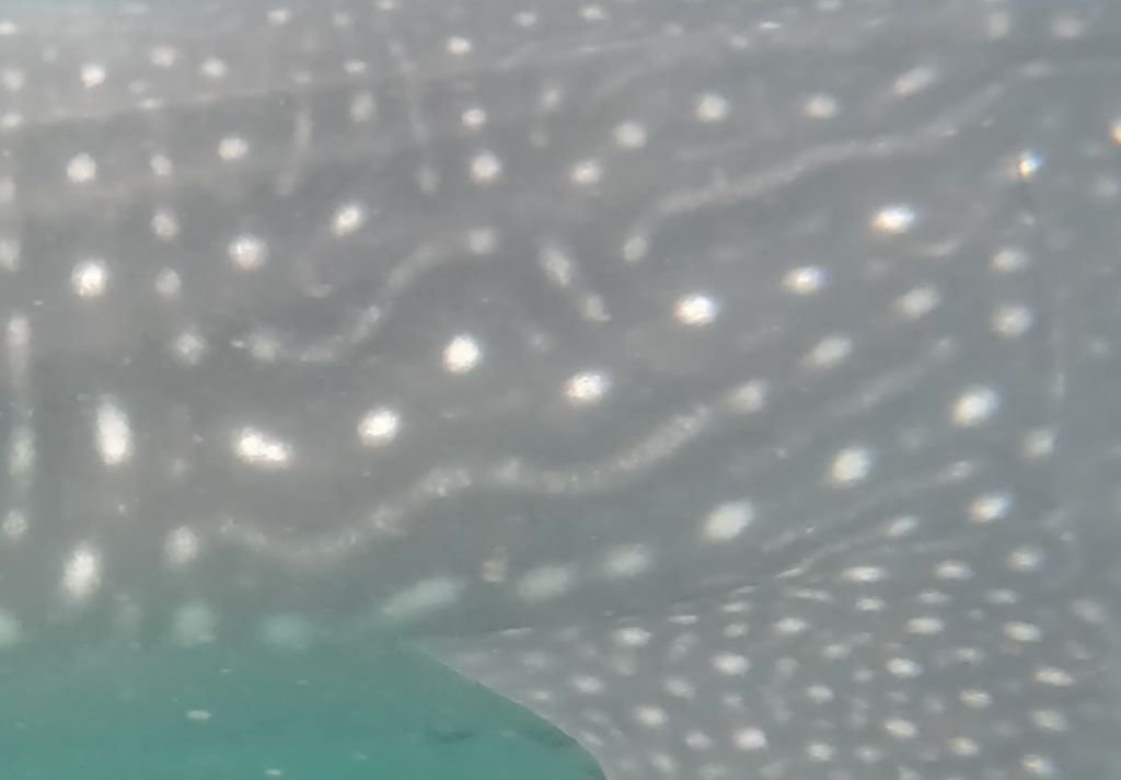 72a974a9-9c5b-42cc-8aed-7b97ff41ea90