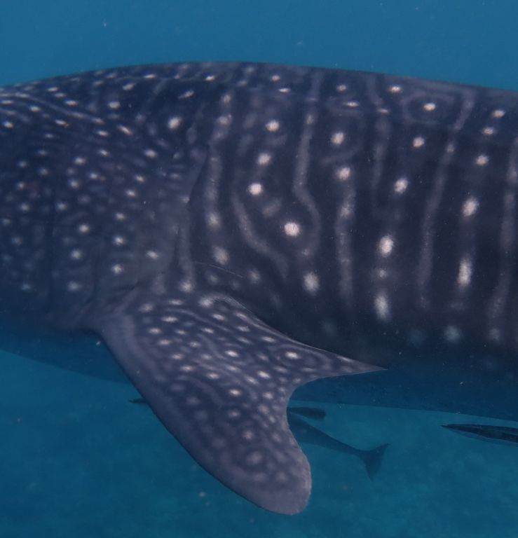 83291185-a105-4f48-be21-90bbb1b93954