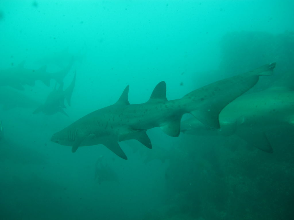 5eeba026-7663-4a3e-8429-7a0248354d2e