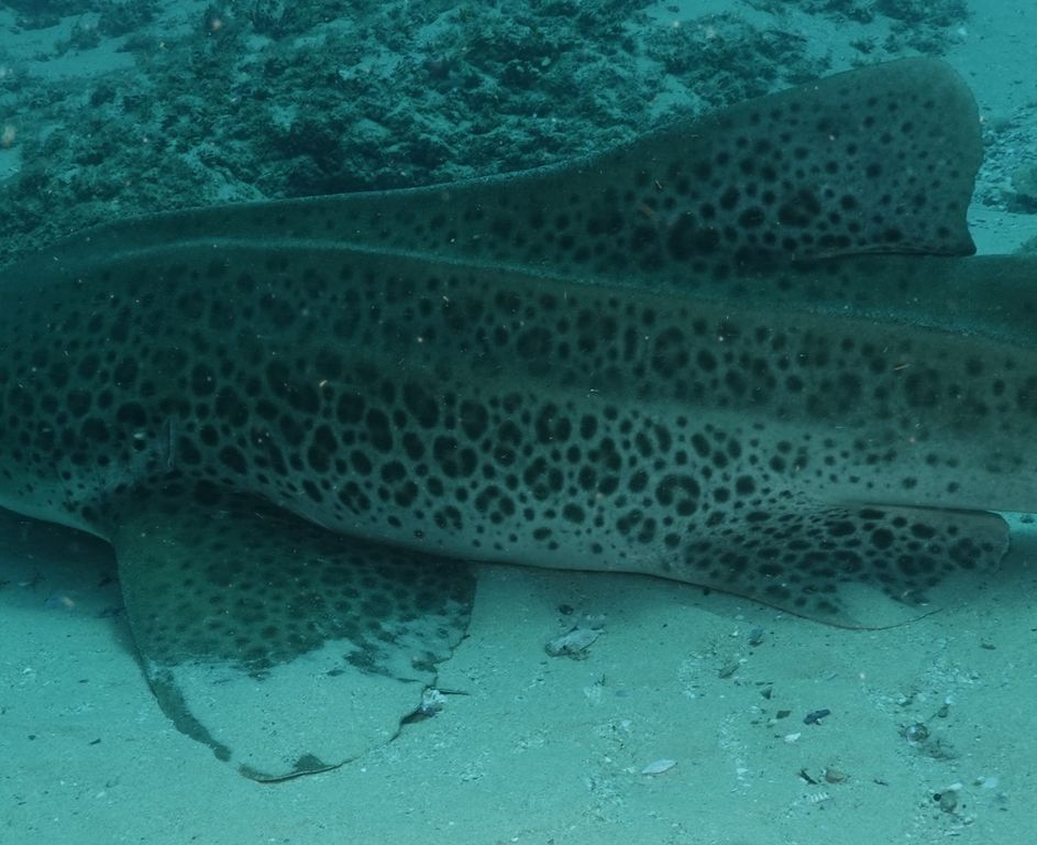 49cd503f-0e33-4cce-95bc-736a3ffdfdd8