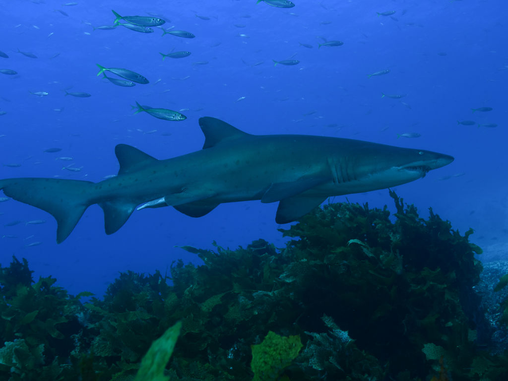 17eb1f3f-0aa6-4aa2-8986-07215549fdfd