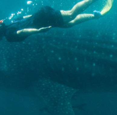 03c6fd71-ff4f-4350-9f70-cc27106404d6