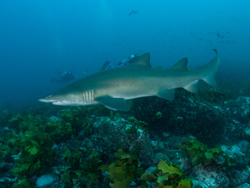 46d8eded-c0e8-4e67-8e0b-4a01c0ffa83d