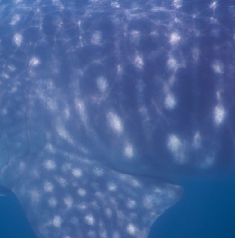 57d7ba28-4ff8-41f9-9850-1539f7ae791f