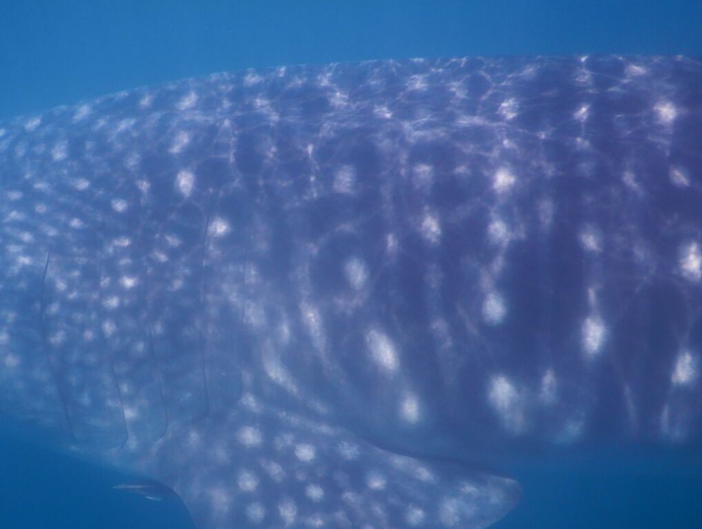 57d7ba28-4ff8-41f9-9850-1539f7ae791f