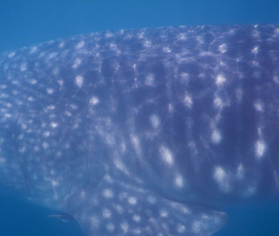 57d7ba28-4ff8-41f9-9850-1539f7ae791f